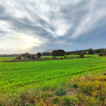 Holiday home Casa Con Piscina En L'estartit Girona